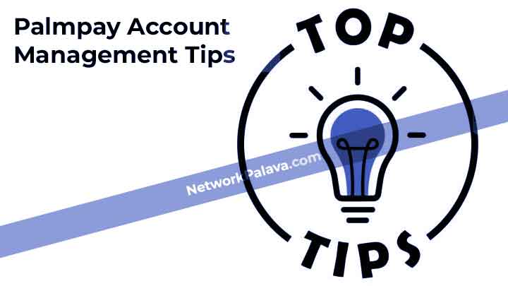 Additional Palmpay Account Management Tips