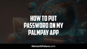 Put Password Palmpay App