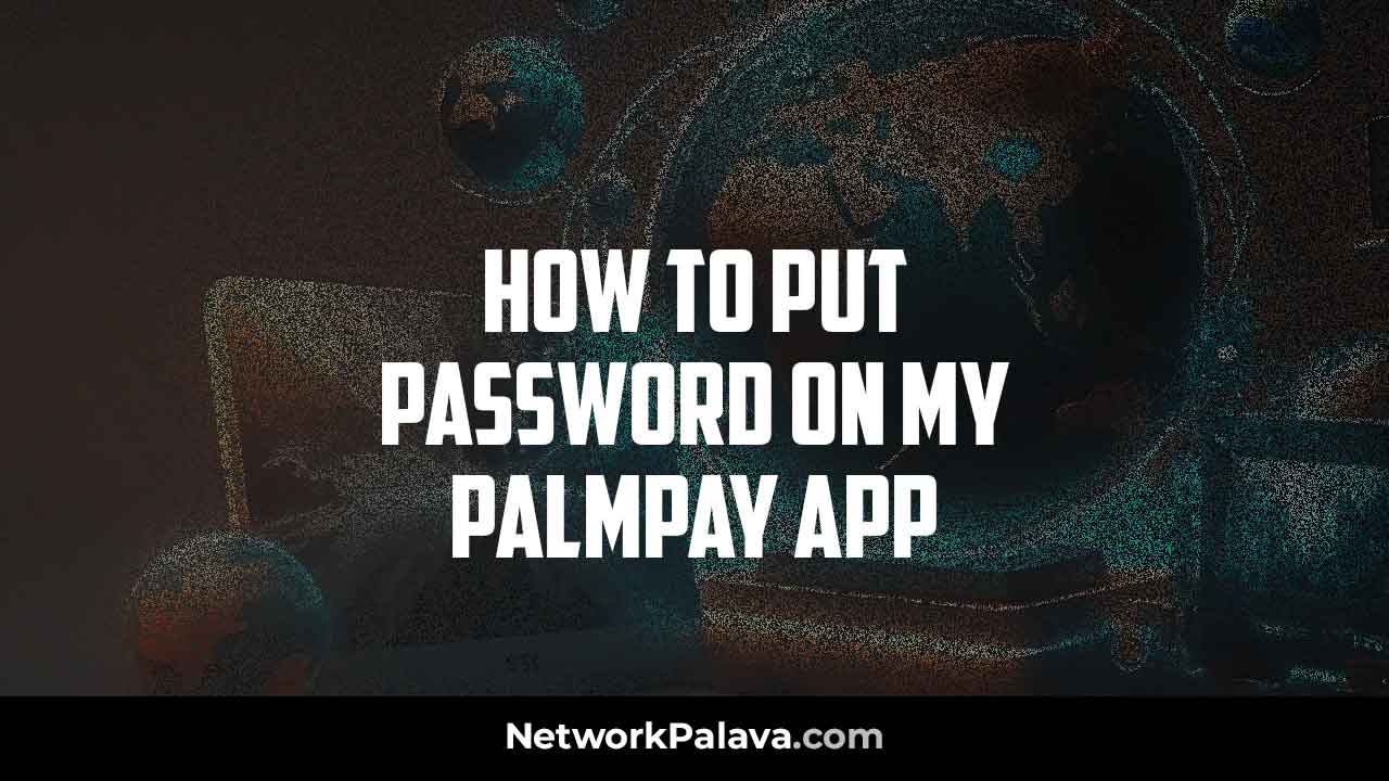 Put Password Palmpay App