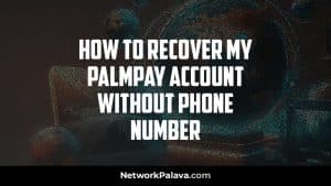 recover palmPay Account no phone number