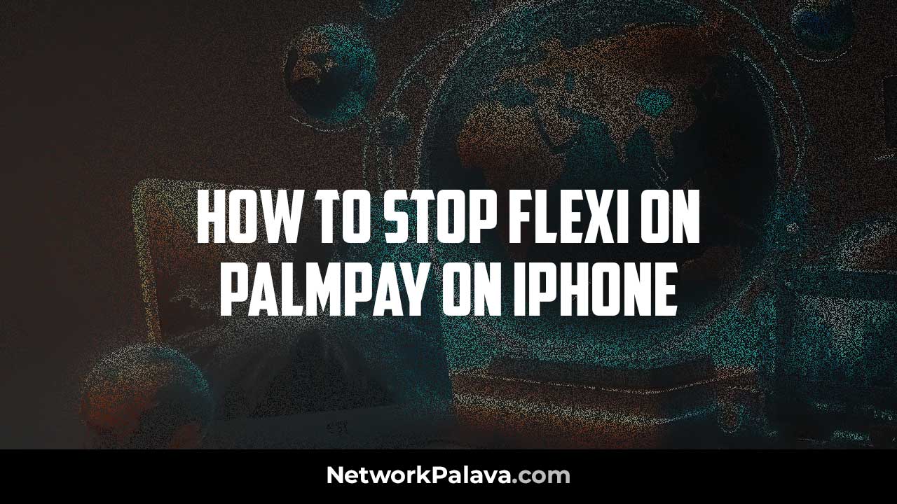 Stop Flexi PalmPay iPhone