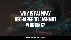 Palmpay Recharge to Cash Not Working