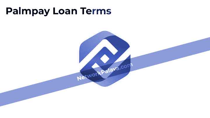 Palmpay Loan Terms