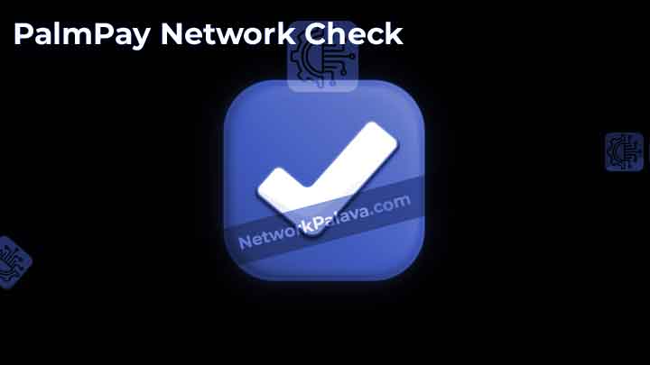 PalmPay Network Checks