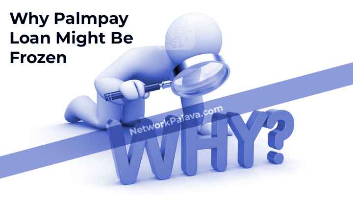 Common Reasons Why Your Palmpay Loan Might Be Frozen