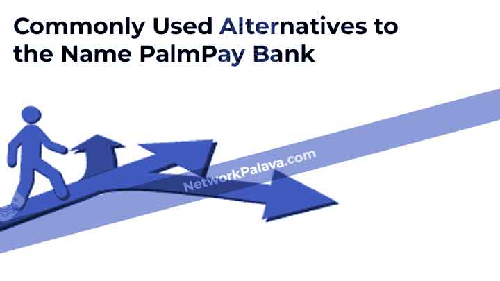 Commonly Used Alternatives to the Name PalmPay Bank