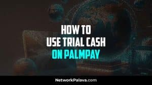 Use Trial Cash Palmpay