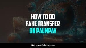 palmpay fake transfer