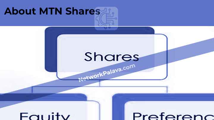 About MTN Shares