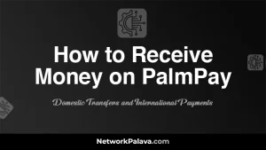 How to Receive Money on PalmPay: Domestic Transfers and International Payments