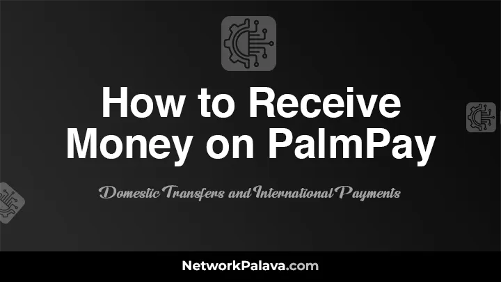 How to Receive Money on PalmPay: Domestic Transfers and International Payments