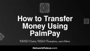 How to Transfer Money Using PalmPay: USSD Codes, UBA Transfers, and More