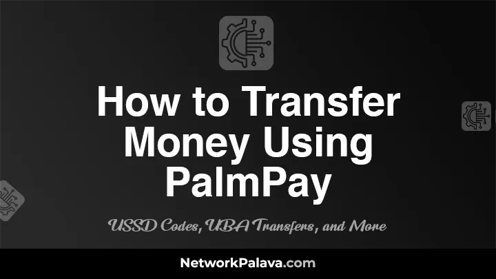 How to Transfer Money Using PalmPay: USSD Codes, UBA Transfers, and More